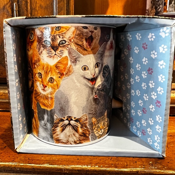 🐈 CRAZY CAT LADY COFFEE MUGS🐈 - Picture 2 of 8